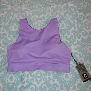 Chestee Sports Bra
